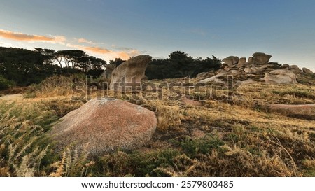 Yellow grass-green heathers-conifer backed moorland dotted with curious pink granite rocks beside the Sentier des Douaniers-Customs Officers Path, Men Ruz lighthouse area. Ploumanac'h-Brittany-France.