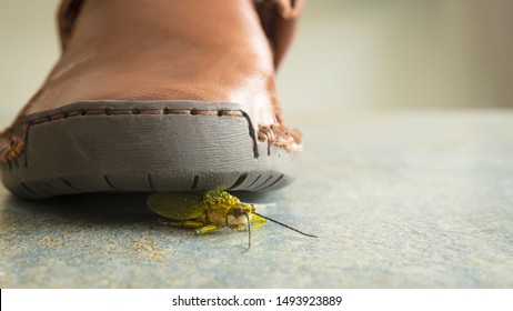 Barefoot bug squish