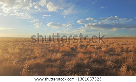 Yellow grassland illuminated with afternoon sunlight on a  clear bright day at Petroglyph National Monument in Albuquerque, New Mexico