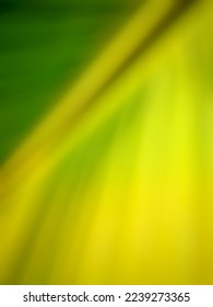 abstract green Yellow blurry