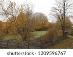 yellow and green fields and trees 