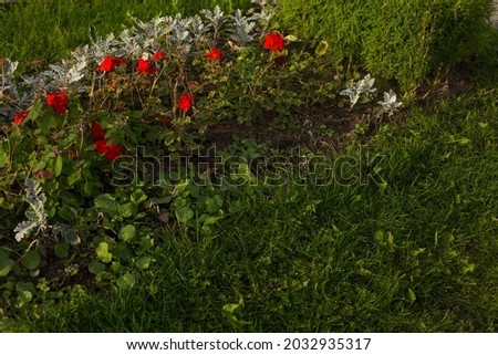 Similar – suburban idyll Garden