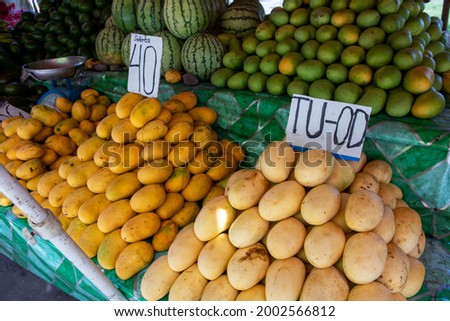Yellow and green mango pile with species name and price tag on rustic market stall. Asian fruit market stall. Philippine mango season. Fresh fruit for sell. South Asia agriculture. Yellow mango stack