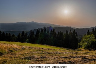 Yellow Green Mowed Meadow On The Hill Before Sunset, Mountains And Forest In The Background. No People, Clear Sky, Sunflare