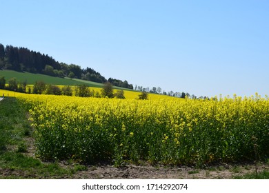 Engeln Images Stock Photos Vectors Shutterstock