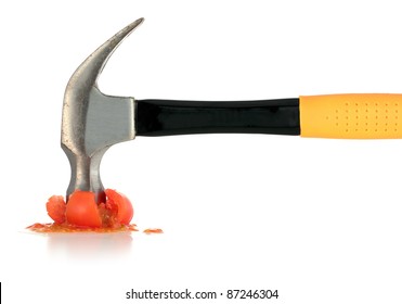 Yellow Hammer Squashed Red Tomato Isolated On White