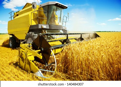 an yellow harvester in work