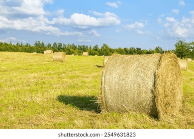 Yellow hay bales are scattered across a lush green field, set against a backdrop of fluffy clouds and a clear blue sky. The scene captures the tranquility of rural farming life. - Powered by Shutterstock