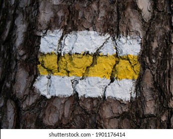 Yellow Hiking Path Sign On A Tree