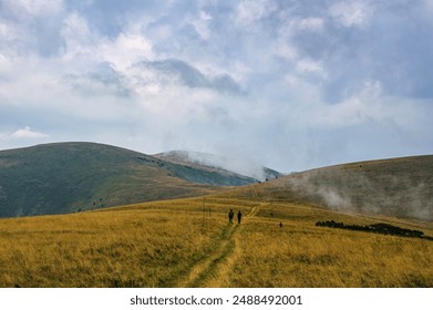 Yellow hills with grass and autumn forests. View of beautiful hills with yellow grass and hiking trail with hikers. Landscape with autumn hills and steppe grass - Powered by Shutterstock