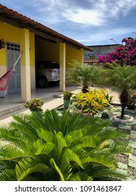 Yellow House Front Yard And Garage