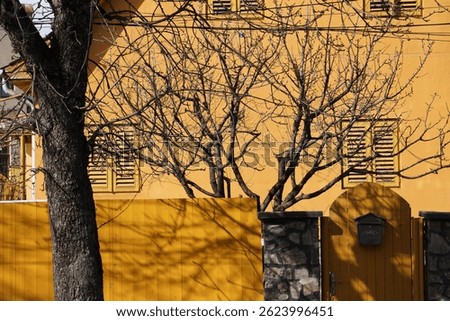 Yellow house wall in a warm sunlight. Colorful yellow facade with wood yellow window frames and dark yellow wood fence.