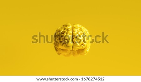 yellow human brain against yellow background Anatomical Model on floor