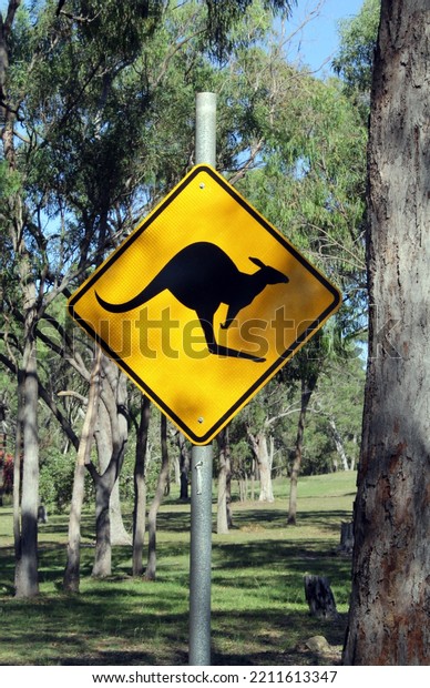 Yellow\
kangaroo crossing sign in the Australian\
bush