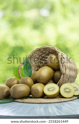 Yellow Kiwi fruit in wooden basket over blur greenery background, Kiwi fruit or Chinese gooseberry over green natural Blur background.
