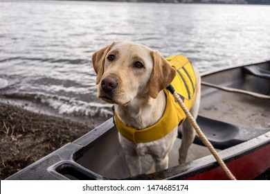 21,316 Life vest Stock Photos, Images & Photography | Shutterstock