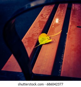Yellow leaf