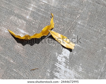 Yellow leaf fallen on a cement chair background in green open space.