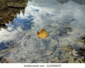 Yellow Leaf Falling On Calm Water In Autumn. Splash On Water.  Small Circular Waves. Some Sky And Clouds Reflection. Lake Tovel. Italy.