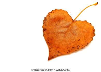 Heart Shaped Object Images Stock Photos Vectors Shutterstock