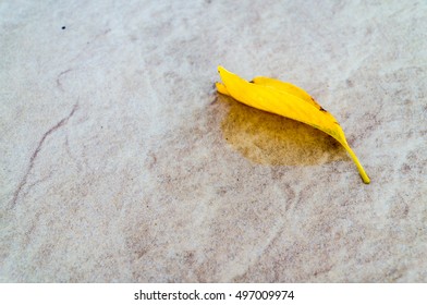 Yellow leaf on marble surface.