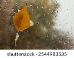 a yellow leaf on a wet window. snow and rain outside the window on an autumn day. texture of rain and snow drops, wet glass. autumn still life, close-up