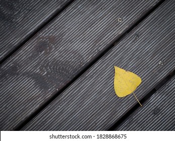 yellow leaf of a tree on a background of old wooden boards