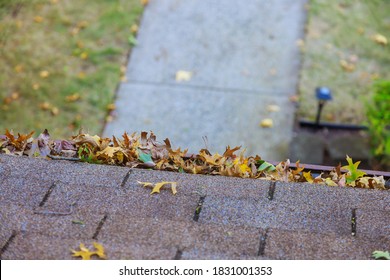 Yellow leaves are covered with iron gutter cover on a roof with leaves on the outside