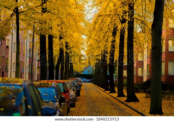 Yellow leaves\
on the lime trees in autumn in the town of Luckenwalde in\
Karl-Marx-Straße , parked cars on the left side of the road ,\
autumn foliage on the cars and on the\
road