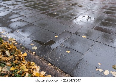 Yellow leaves on sidewalk in city park after rain. Weather gives sadness and melancholy. Seasonal cleaning of city services - Shutterstock ID 2195479647