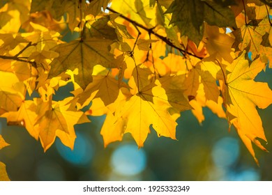 10月 風景 の画像 写真素材 ベクター画像 Shutterstock