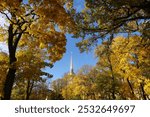 The yellow leaves of the trees form a small gap in which the golden spire of the Admiralty is visible in the rays of the sun against the blue sky. Architecture of Saint Petersburg