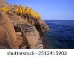 Yellow lichen on a granite outcrop on the north of Lake Huron on a summer afternoon