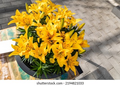Yellow lily flowers, top view, sgrows in a container on the sidewalk