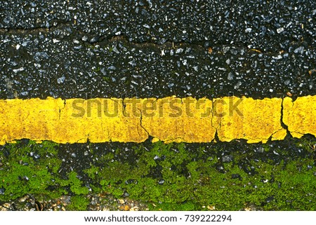 Similar – Image, Stock Photo autumn of spectators