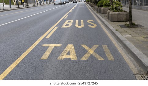 Yellow line is painted on the road with the words Bus and Taxi written on it. The line is in the middle of the road, separating the lanes for buses and taxis. The line is clearly visible - Powered by Shutterstock