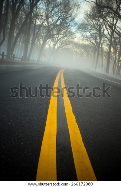 Yellow lines on\
empty road on foggy\
morning