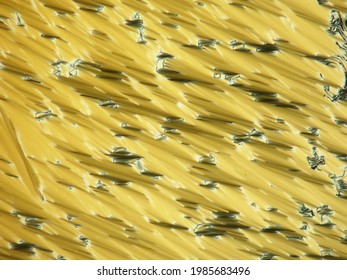 Yellow Liquid crystal under polarized light microscope