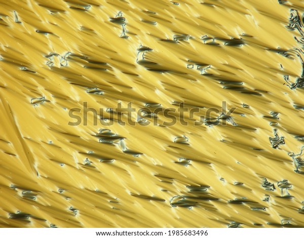 Yellow\
Liquid crystal under polarized light\
microscope
