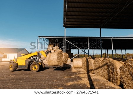 Yellow loader stacking hay bales in sunny outdoor storage facility, preparing food for cows for winter season.