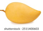 Yellow Mango on white background, Sweet Yellow Mango tropical fruit isolate on white with clipping path.