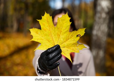 yellow maple leaf in hand