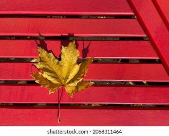 Yellow Maple Leaf Lies On Red Bench, Top View