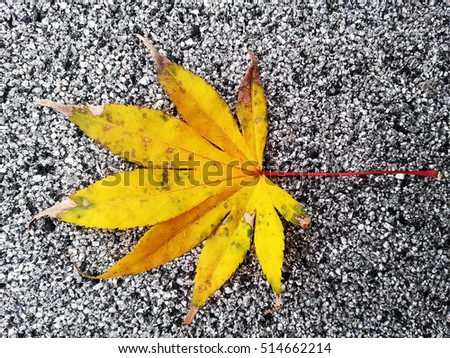 Similar – Foto Bild Herbstfarben… Umwelt