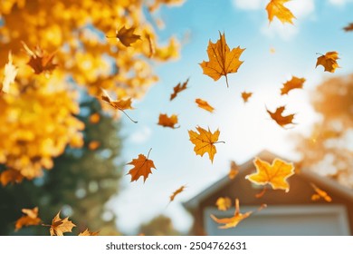 yellow maple leaves falling in backyard, autumn background - Powered by Shutterstock