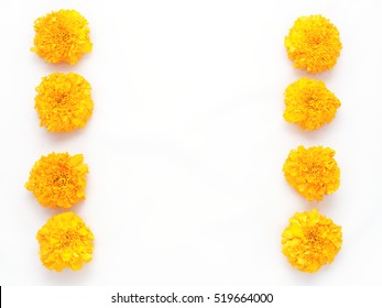 Yellow Marigold Flower Isolated On White Background