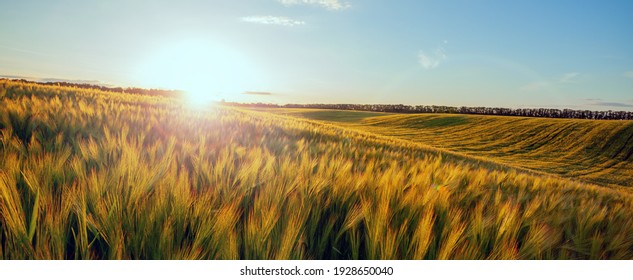 15,781,059 Field Images, Stock Photos & Vectors | Shutterstock