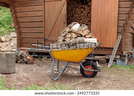 Yellow metal garden wheelbarrow and a pile of sawn firewood near the firewood storage. Preparing firewood for the winter to heat the house