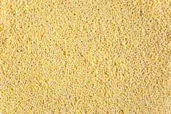 Yellow Millet Grits As Texture With Copy Space. Yellow Background