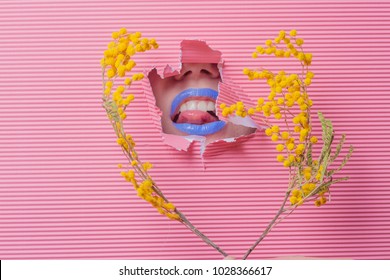 Yellow Mimosa Flower On Pastel Pink Background, Woman Lips With Blue Lipstick Show Throuh Paper Tear, Spring Minimalistic Concept, Flat Layout.